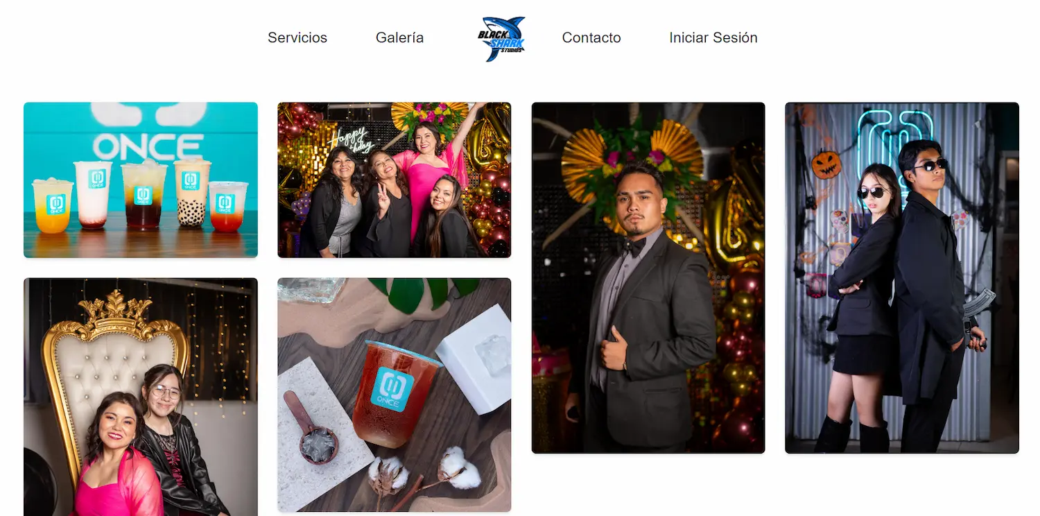 Image examples of the BlackSharkWeb pages